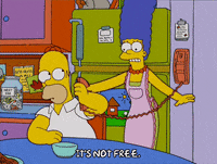 homer simpson episode 13 GIF