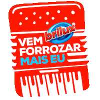 Festa Junina Sanfona Sticker by Brilux