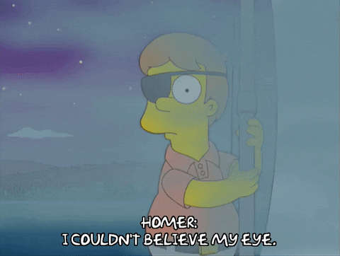 homer simpson episode 20 GIF