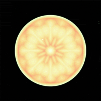 outer space GIF by Erica Anderson