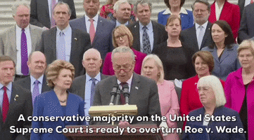 Supreme Court Democrats GIF by GIPHY News