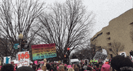 washington dc GIF by Suze Perlov 