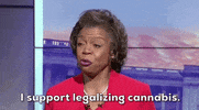 North Carolina Marijuana GIF by GIPHY News