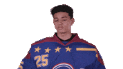 Ice Hockey Netflix Sticker by Zero Chill