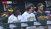 Sport Laugh GIF by MLB