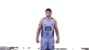 Vamos Lets Go Sticker by ACB