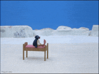 Run Wtf GIF by Pingu
