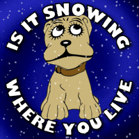 Snow Puppy GIF
