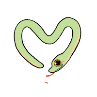 Heart Love Sticker by Instituto Butantan Oficial