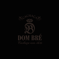 Happy Feliz GIF by cachaça Dom Bré