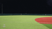 Celebration Go Navy GIF by Navy Athletics