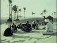 greglakeofficial santa desert camels fatherchristmas GIF