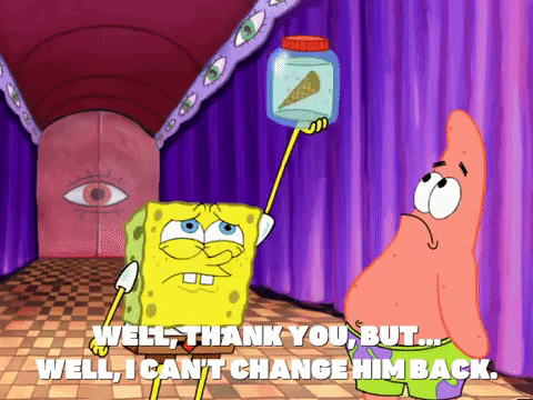 season 4 GIF by SpongeBob SquarePants