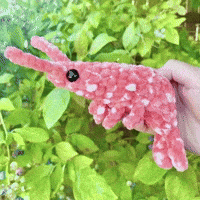 Clubhouse Fei GIF