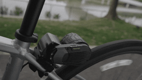 cacmelo giphyupload GIF