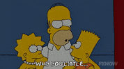Lisa Simpson GIF by The Simpsons