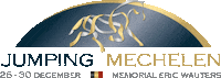 JumpingMechelen christmas jumping newyear mechelen Sticker