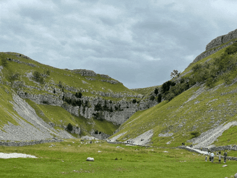 tobywagstaff giphygifmaker giphyattribution GIF