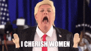 Donald Trump GIF