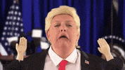 Donald Trump GIF