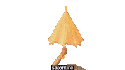 Beauty Reaction Sticker by Salon Line