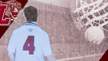 Mens Lacrosse GIF by Lafayette Leopards