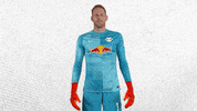 Come Here Lets Go GIF by RB Leipzig