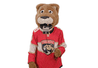 Ice Hockey Sticker by NHL