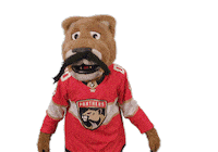 Ice Hockey Sticker by NHL