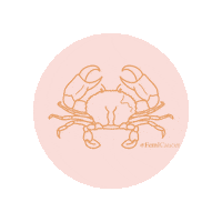 Cancer Zodiac Sticker by Femi Stories