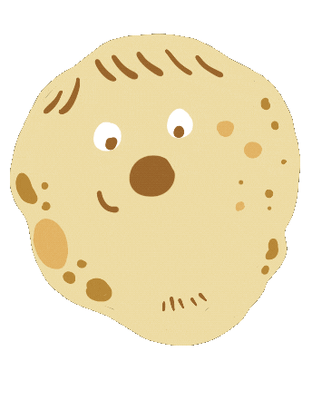 Face Roti Sticker