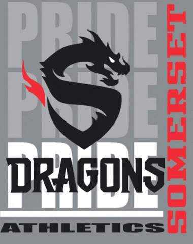 SomersetOaksAcademy giphygifmaker soa GIF