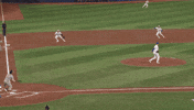 Blue Jays Baseball GIF by Toronto Blue Jays