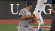 Blue Jays Baseball GIF by Toronto Blue Jays