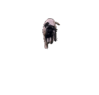 Tong Moos Sticker by Madelon Rijkers