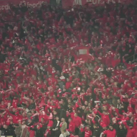 Football Soccer GIF by Widzew Łódź