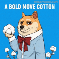 Brand Holding GIF by Doge Pound