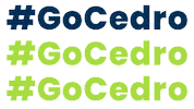 Go Sticker by Cedro Technologies