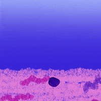 Hallvaror_  GIF