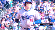 Celebrate Home Run GIF by MLB