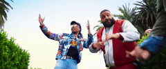 i'm the one GIF by DJ Khaled