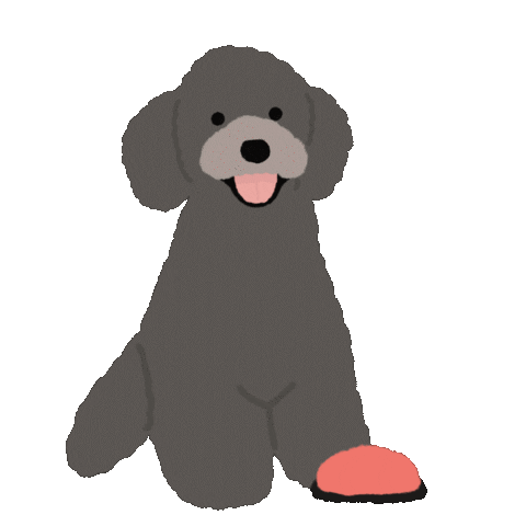 Toy Poodle Sticker