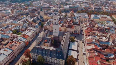 irenapamula giphyupload GIF
