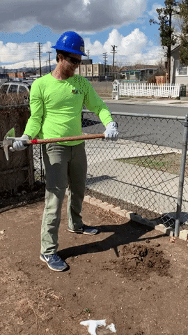 cpcutshaw giphygifmaker GIF