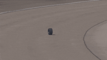 Las Vegas Racing GIF by NASCAR