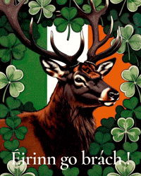 Bonne St-Patrick GIF by TresorsDuMonde.ca