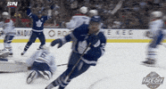 Celebrate Ice Hockey GIF by NHL