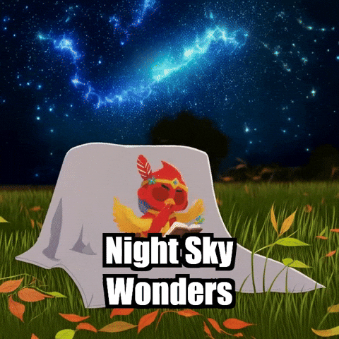 Stars Night GIF by The Cardinal Virtue