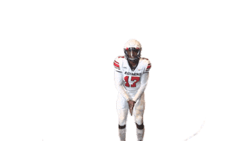 English Touchdown Sticker by Richmond Spiders