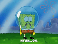 season 5 episode 10 GIF by SpongeBob SquarePants